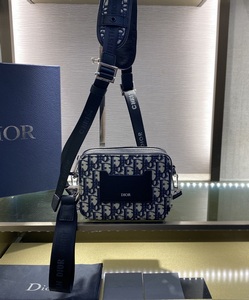 DIOR Handbags 1145